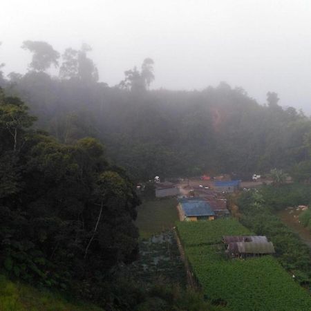 더 파인 호텔 Kampung Kuala Terla 외부 사진