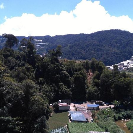 더 파인 호텔 Kampung Kuala Terla 외부 사진