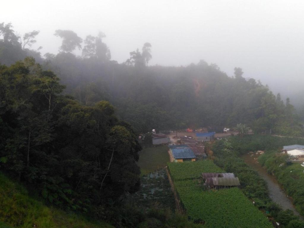 더 파인 호텔 Kampung Kuala Terla 외부 사진