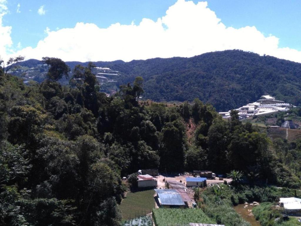 더 파인 호텔 Kampung Kuala Terla 외부 사진