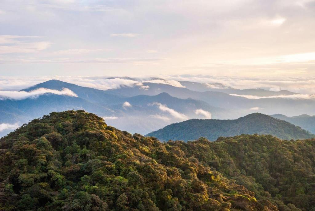 더 파인 호텔 Kampung Kuala Terla 외부 사진